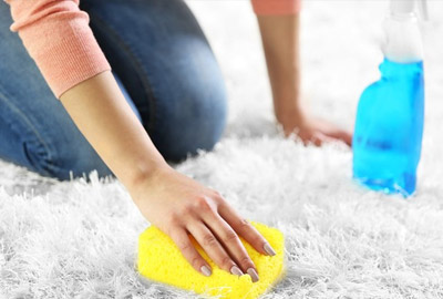 Как удалить пятна c ковровых покрытий?